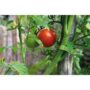 VELCRO® ONE-WRAP Garden Ties – 50ft